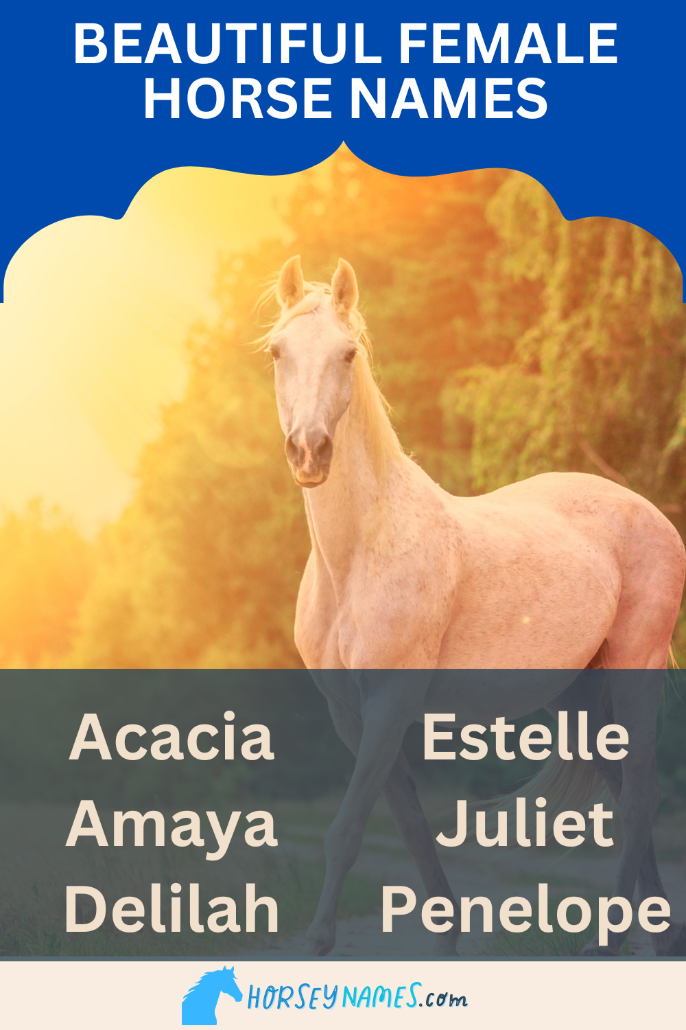 220+ Aesthetic Horse Names That Are Beautiful and Elegant (with Generator)