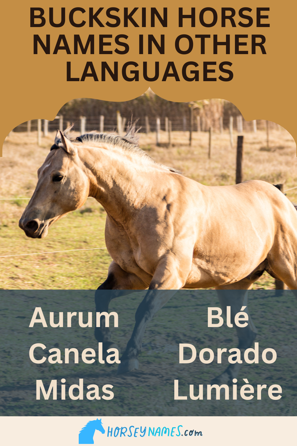 Buckskin Horse Name Ideas in other Languages