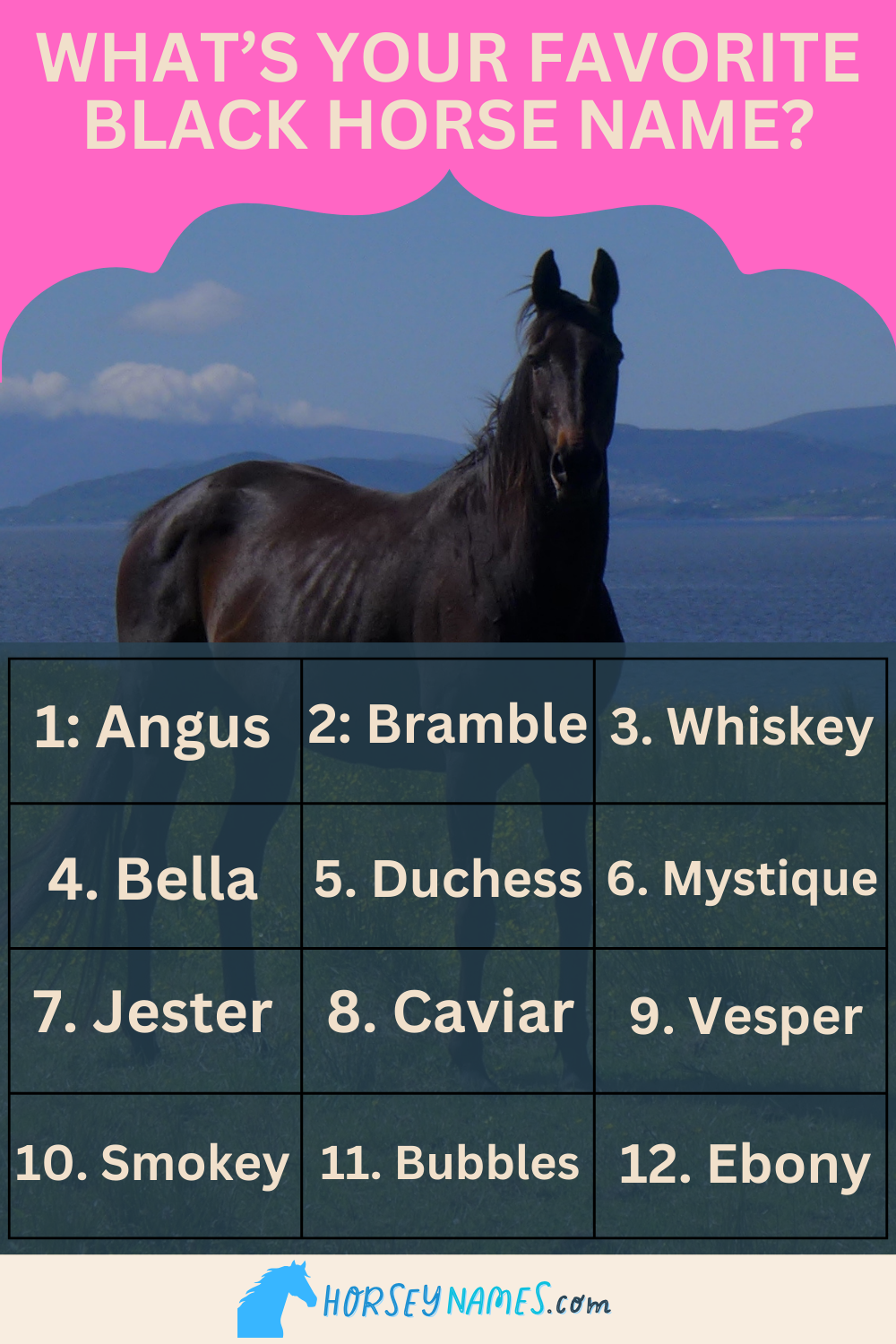 250+ Black Horse Names with Meanings and Generator