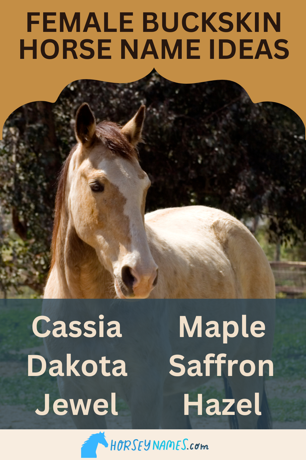 Female Buckskin Horse Name Ideas