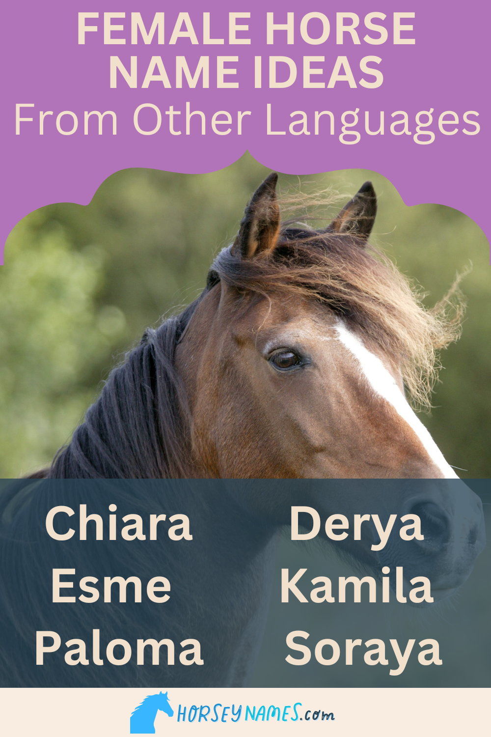 Female Horse Name Ideas from Other Languages