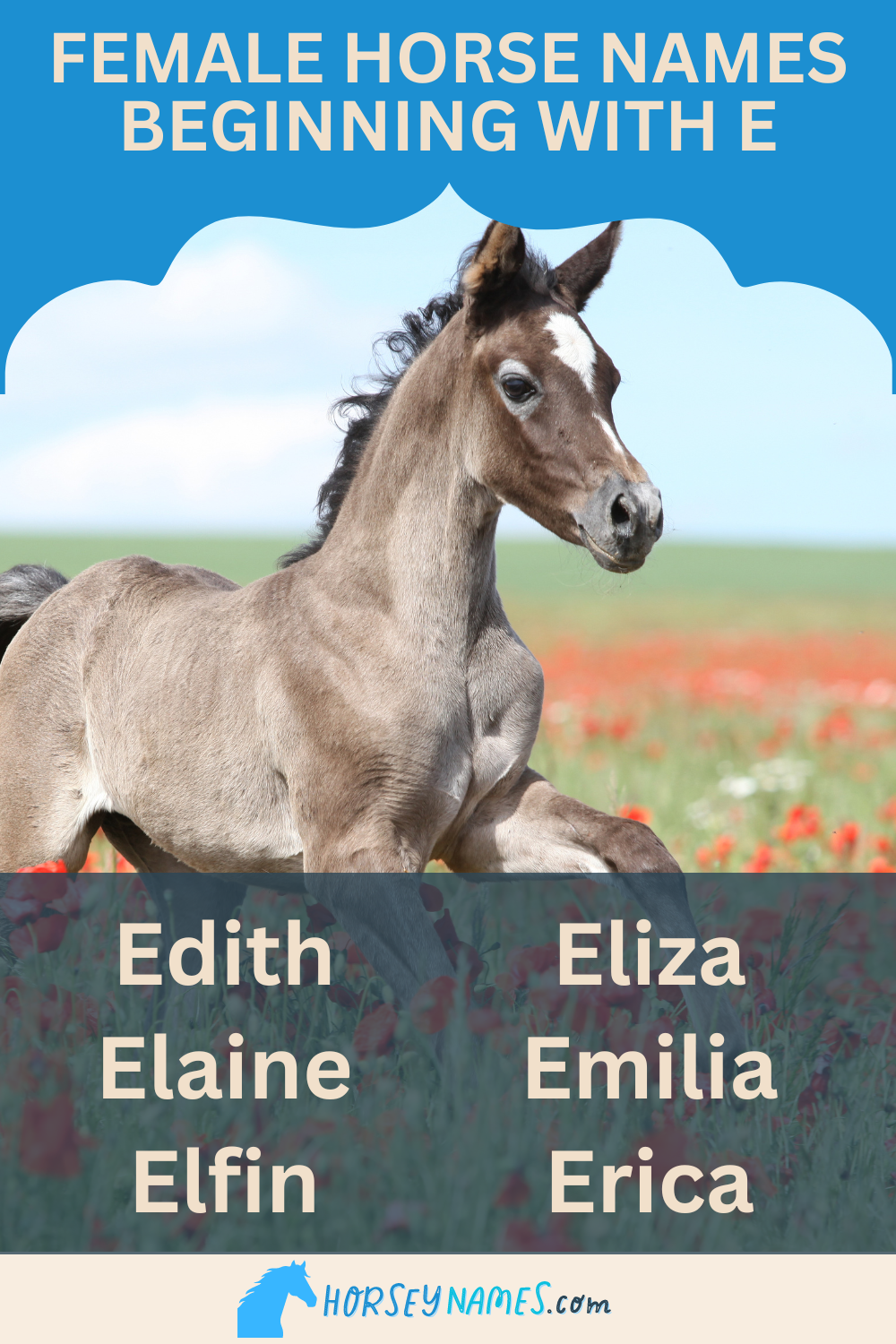 Female Horse Names Beginning with E