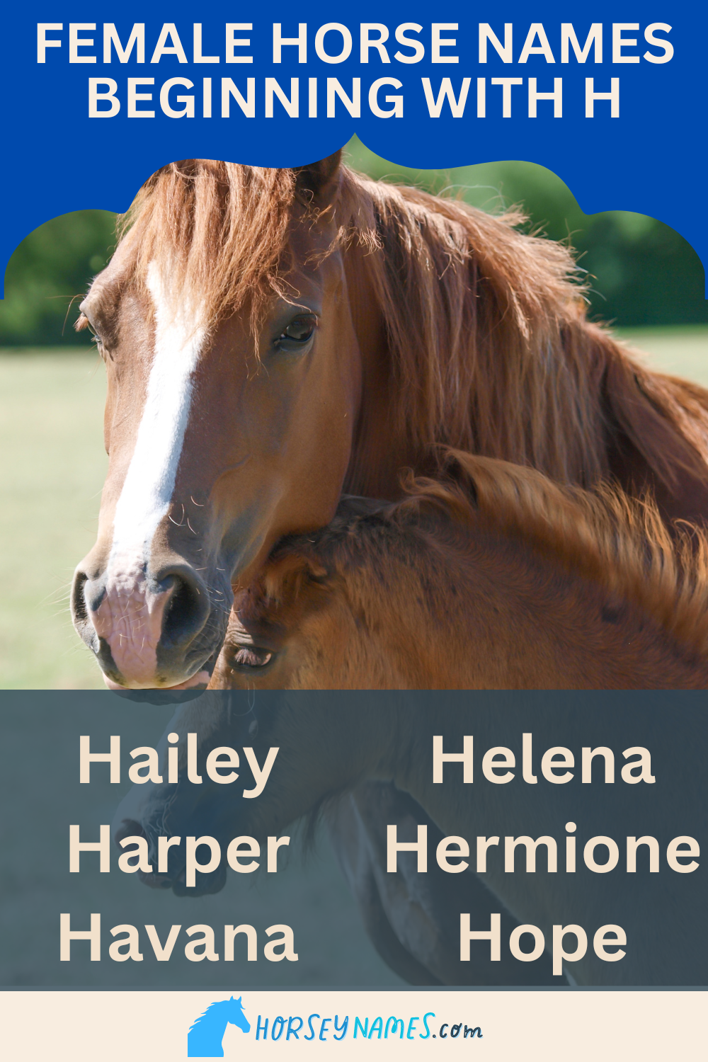 Female Horse Names Beginning with H