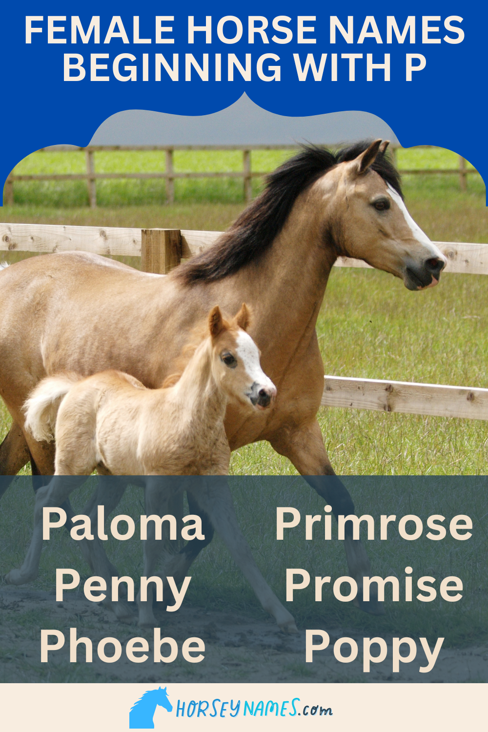 Female Horse Names Beginning with P