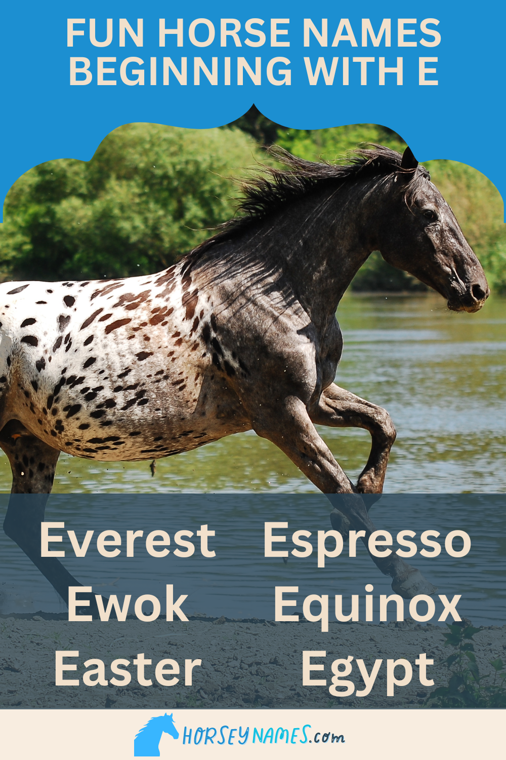 Fun Horse Names Beginning with E