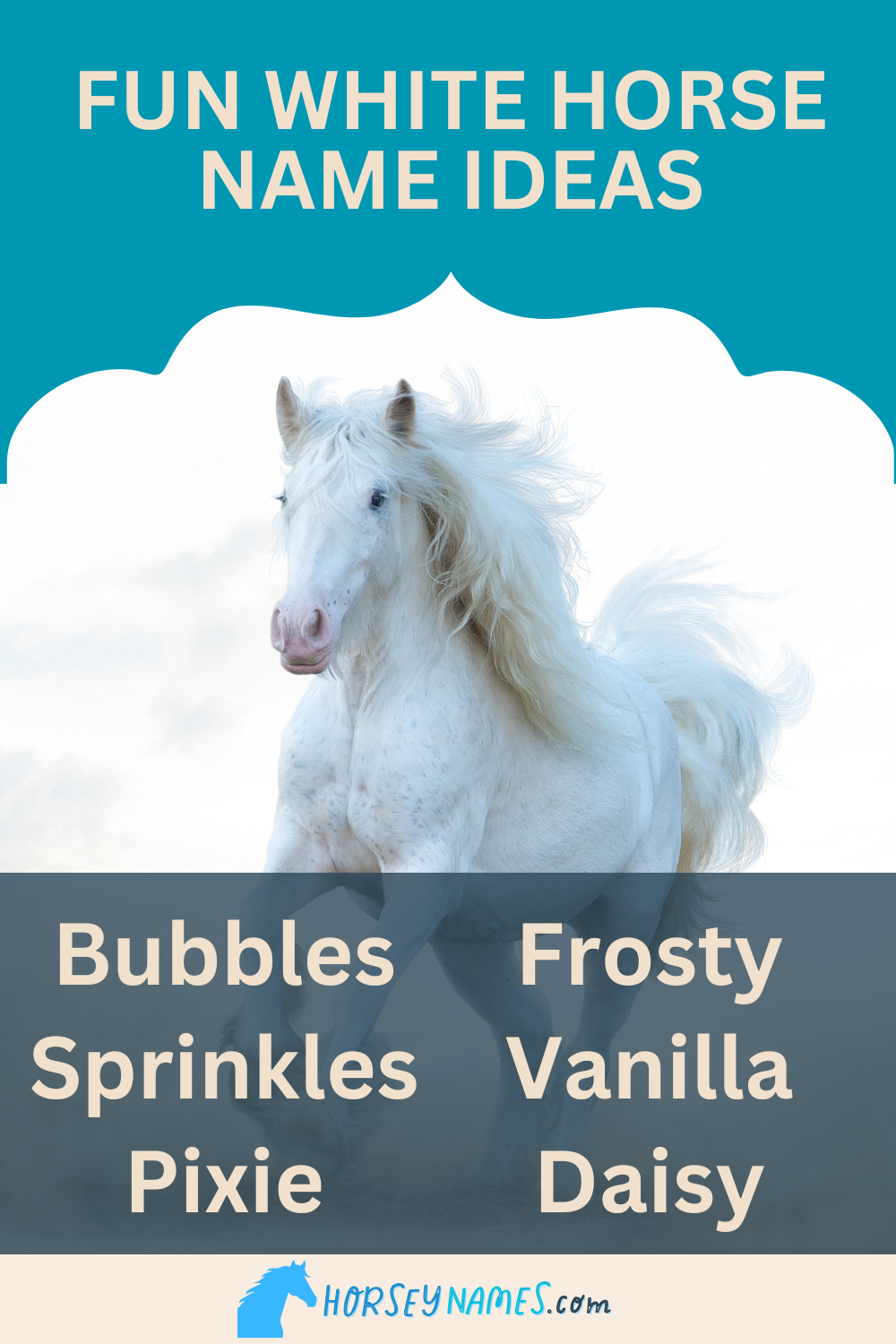 250 White Horse Names With Meanings And Generator 250-white-horse-names-with-meanings-and-generator