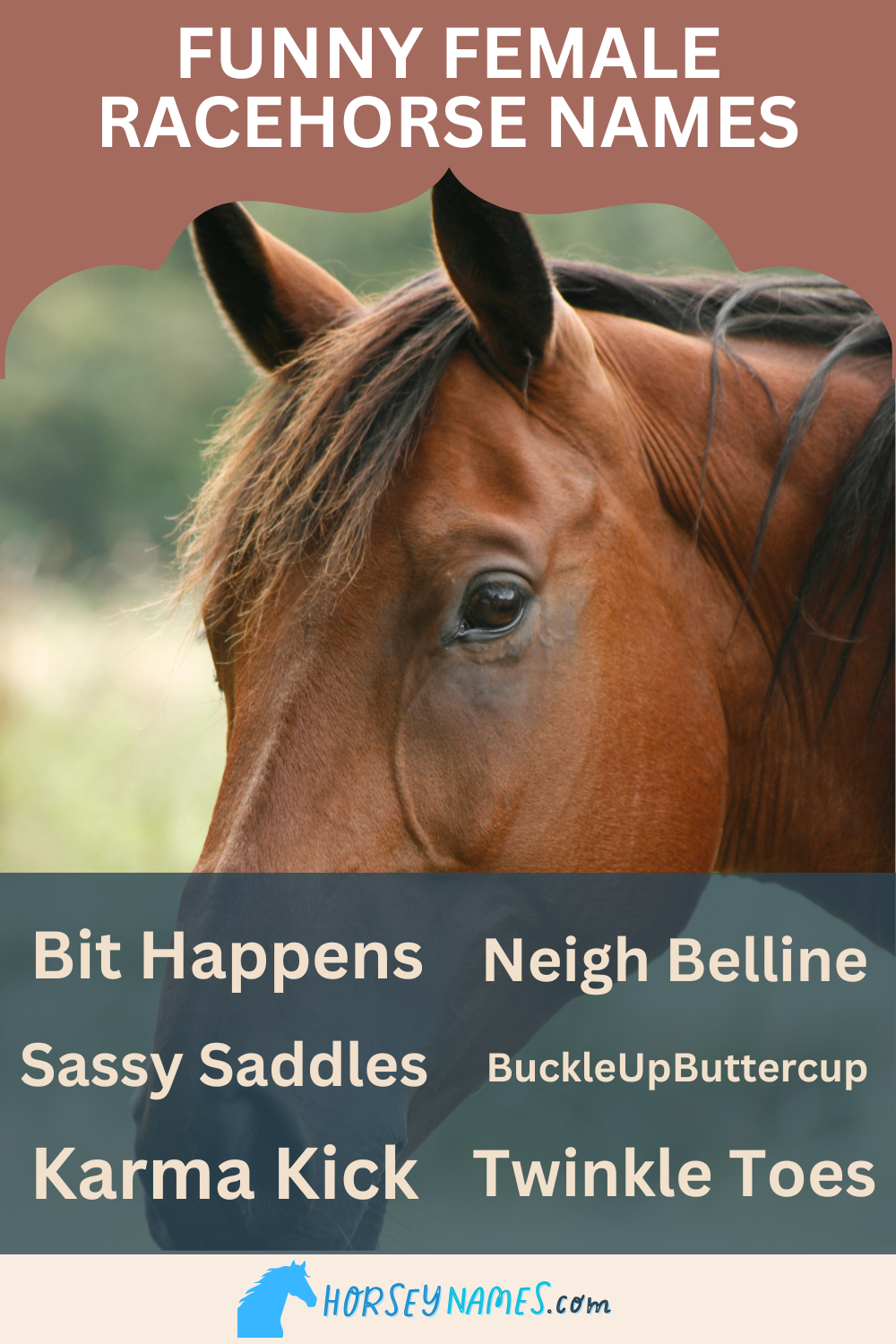 150+ Funniest Unique Racehorse Names with Generator