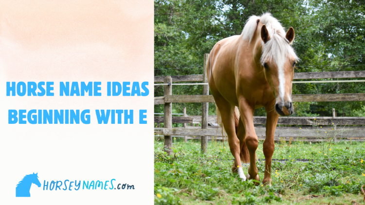 Horse Names Beginning with E
