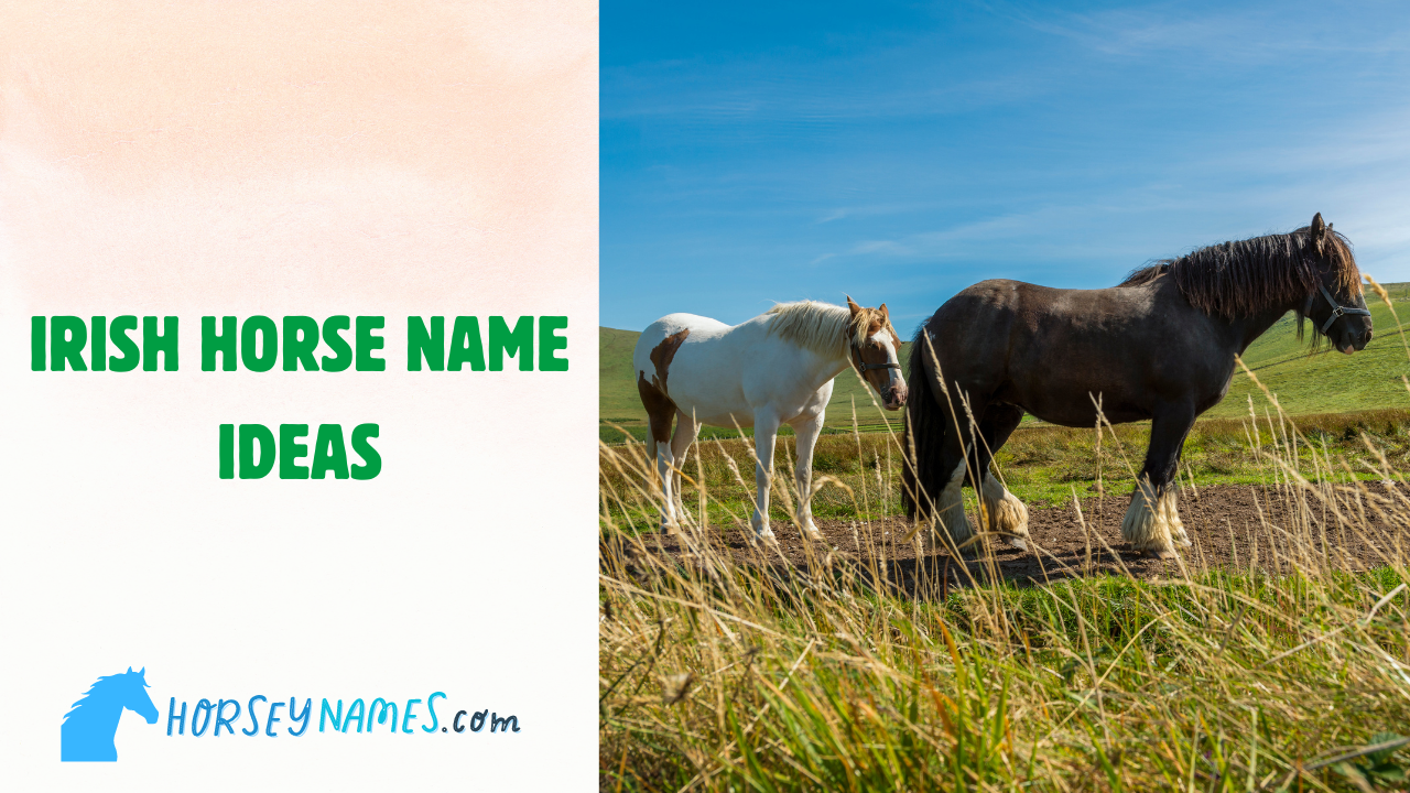 200+ Irish Horse Names with Meanings and Generator