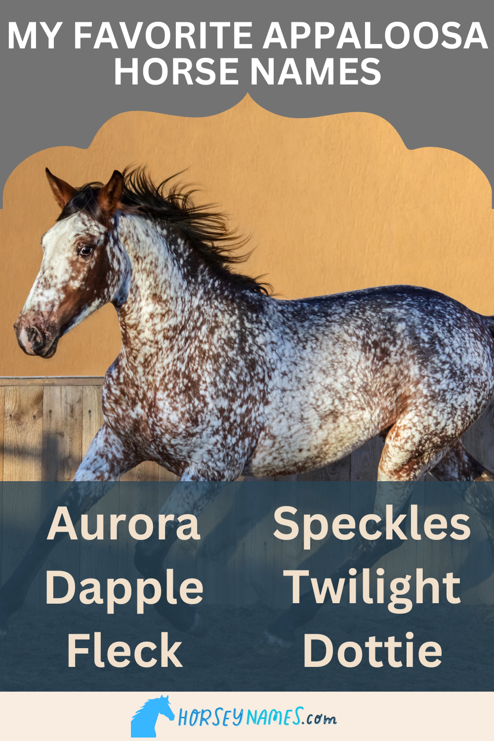 220+ Appaloosa Horse Names with Meanings and Generator