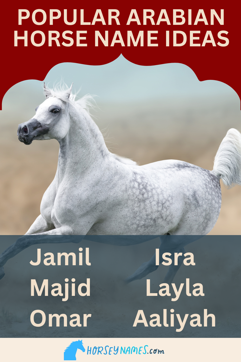 190+ Arabian Horse Names with Meanings and Generator