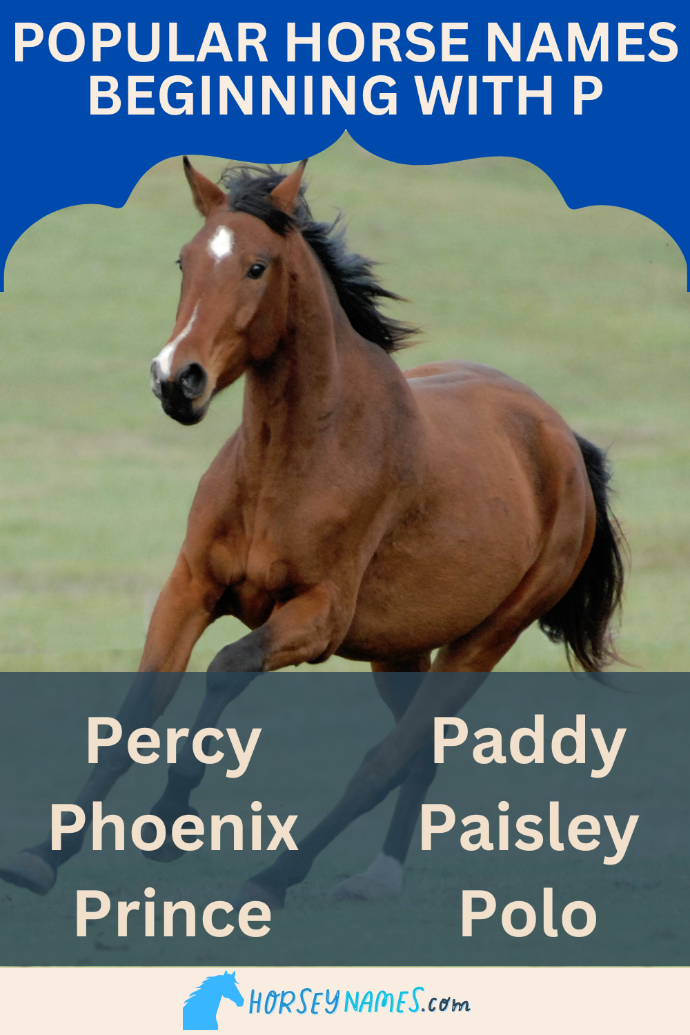 Popular Horse Names Beginning with P