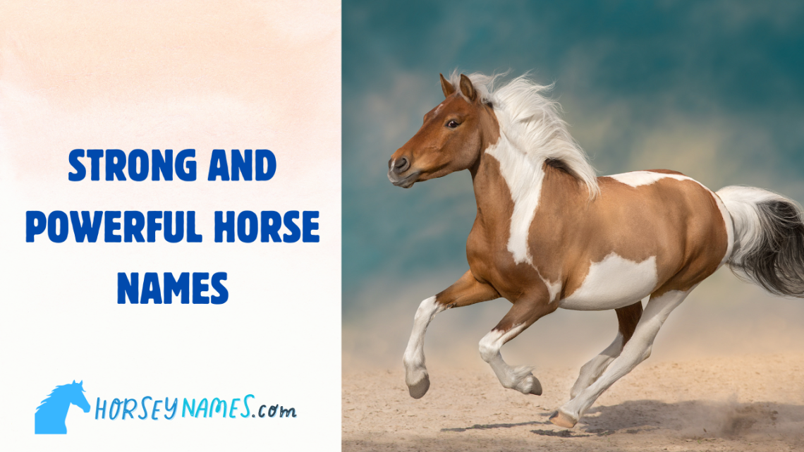 My 170+ Favorite Strong and Powerful Horse Names with Meanings and ...