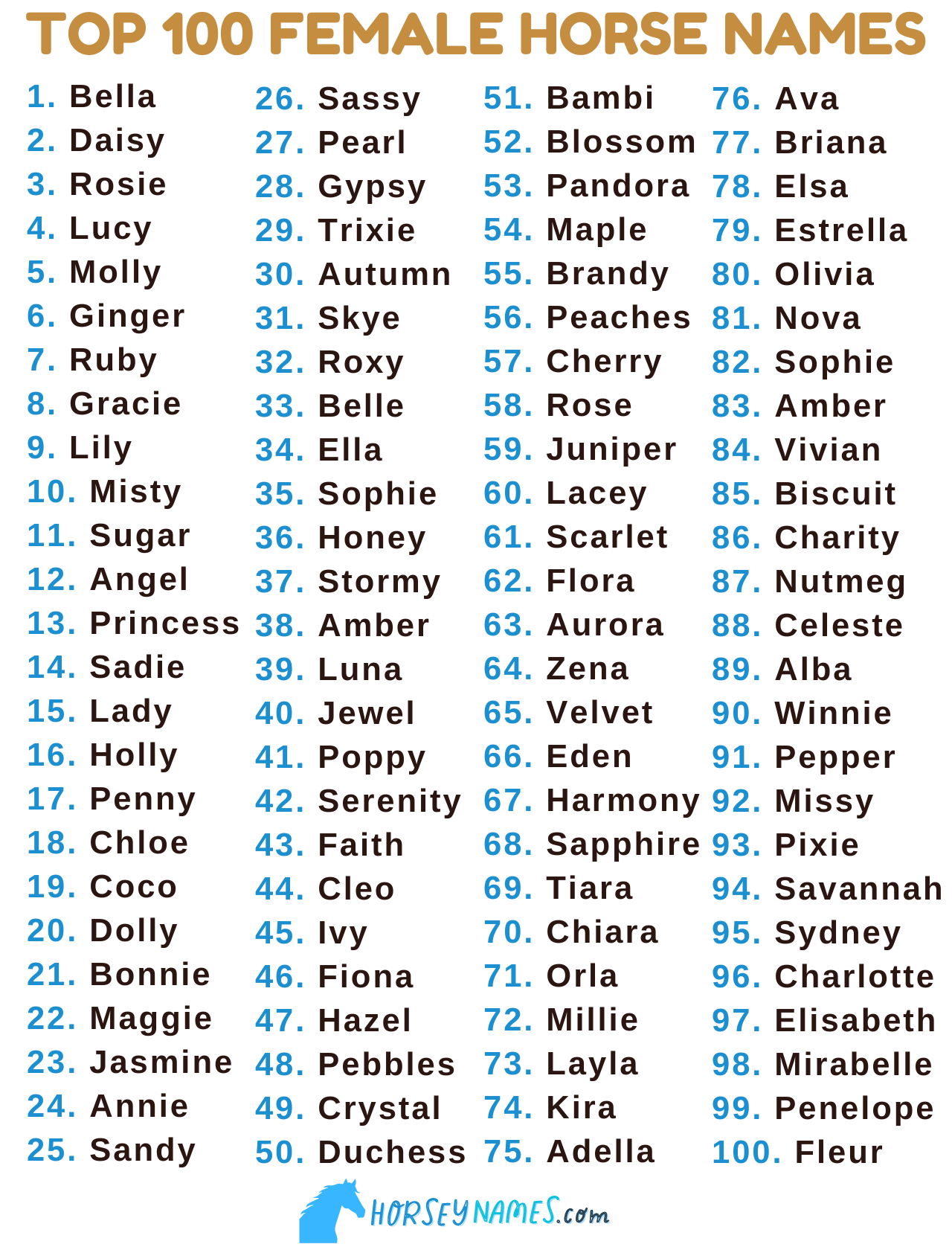 horse-names-generator-with-1500-ideas-by-color