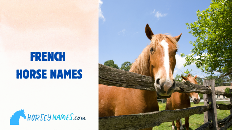 French Horse Names