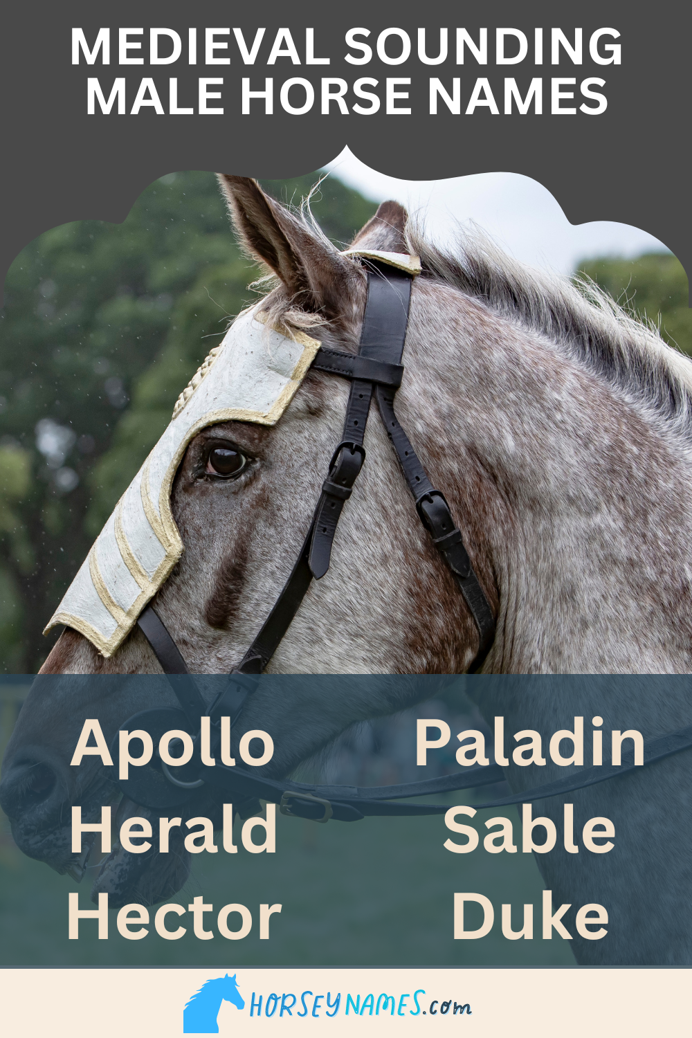 220+ Medieval Horse Names From History, Culture & Fantasy (with 