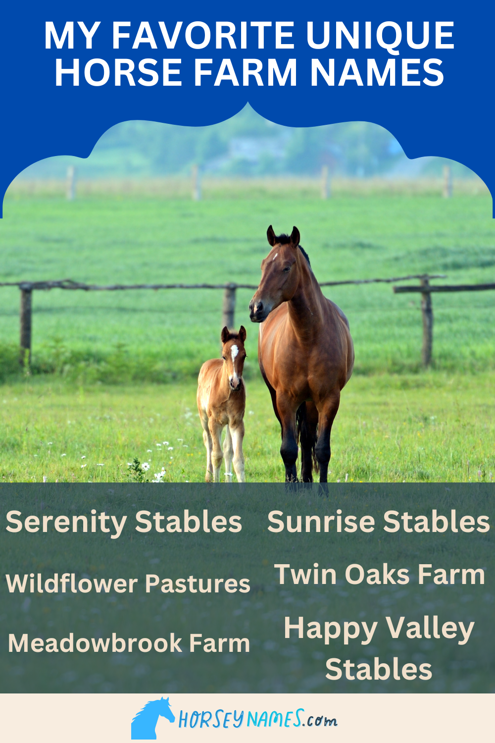 670+ Catchy & Creative Horse Farm Names with Generator