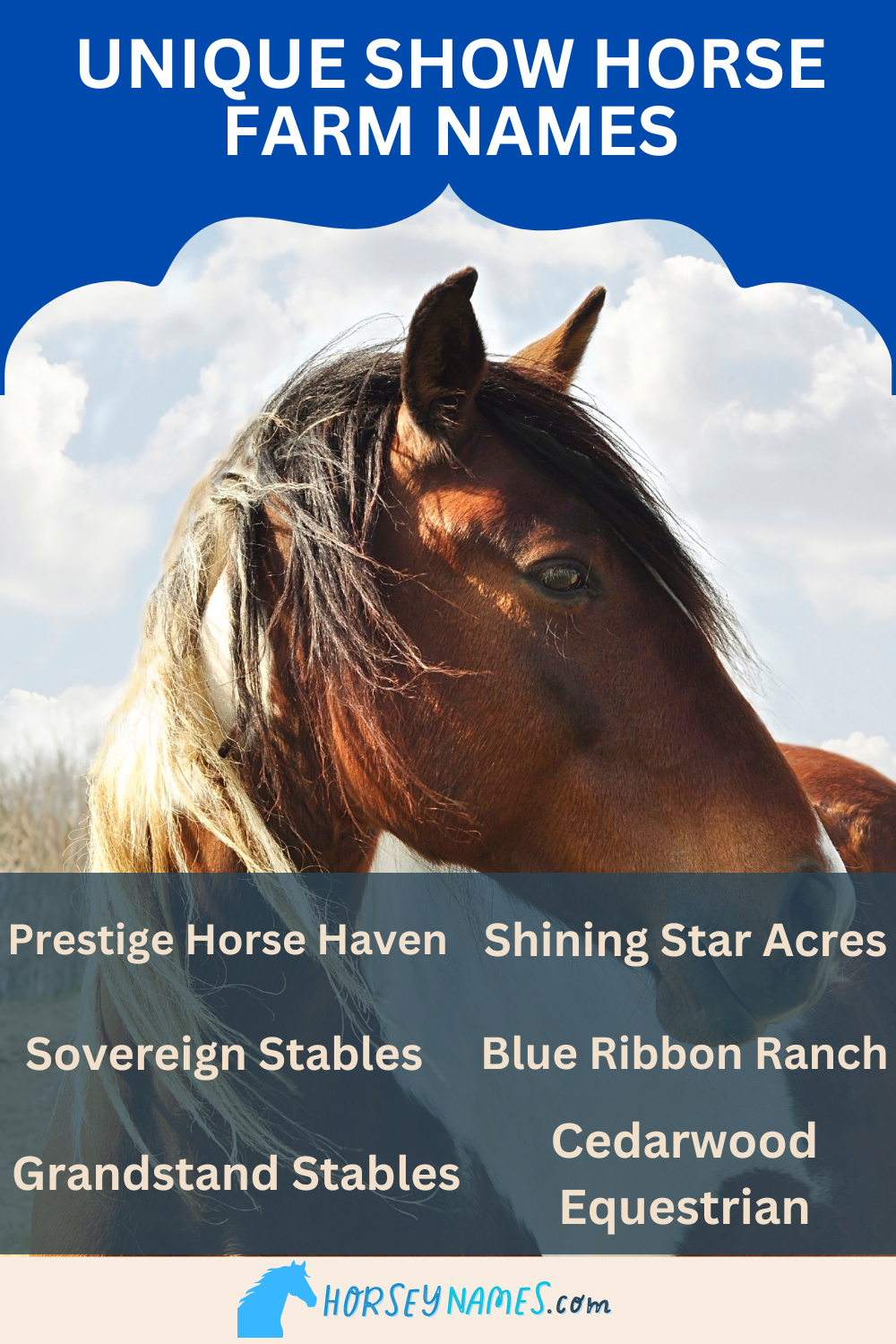 670 Catchy Creative Horse Farm Names With Generator 670-catchy-creative-horse-farm-names-with-generator