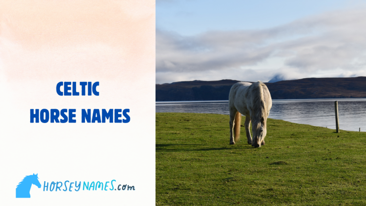 Celtic Horse Names