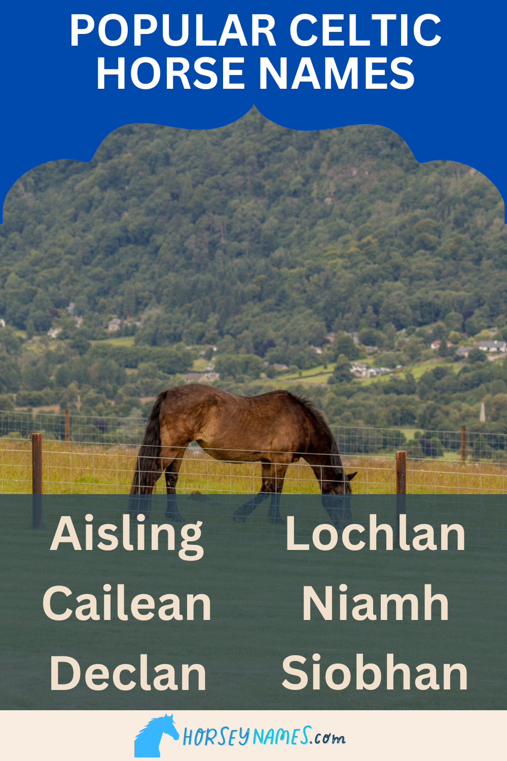 Popular Celtic Horse Names