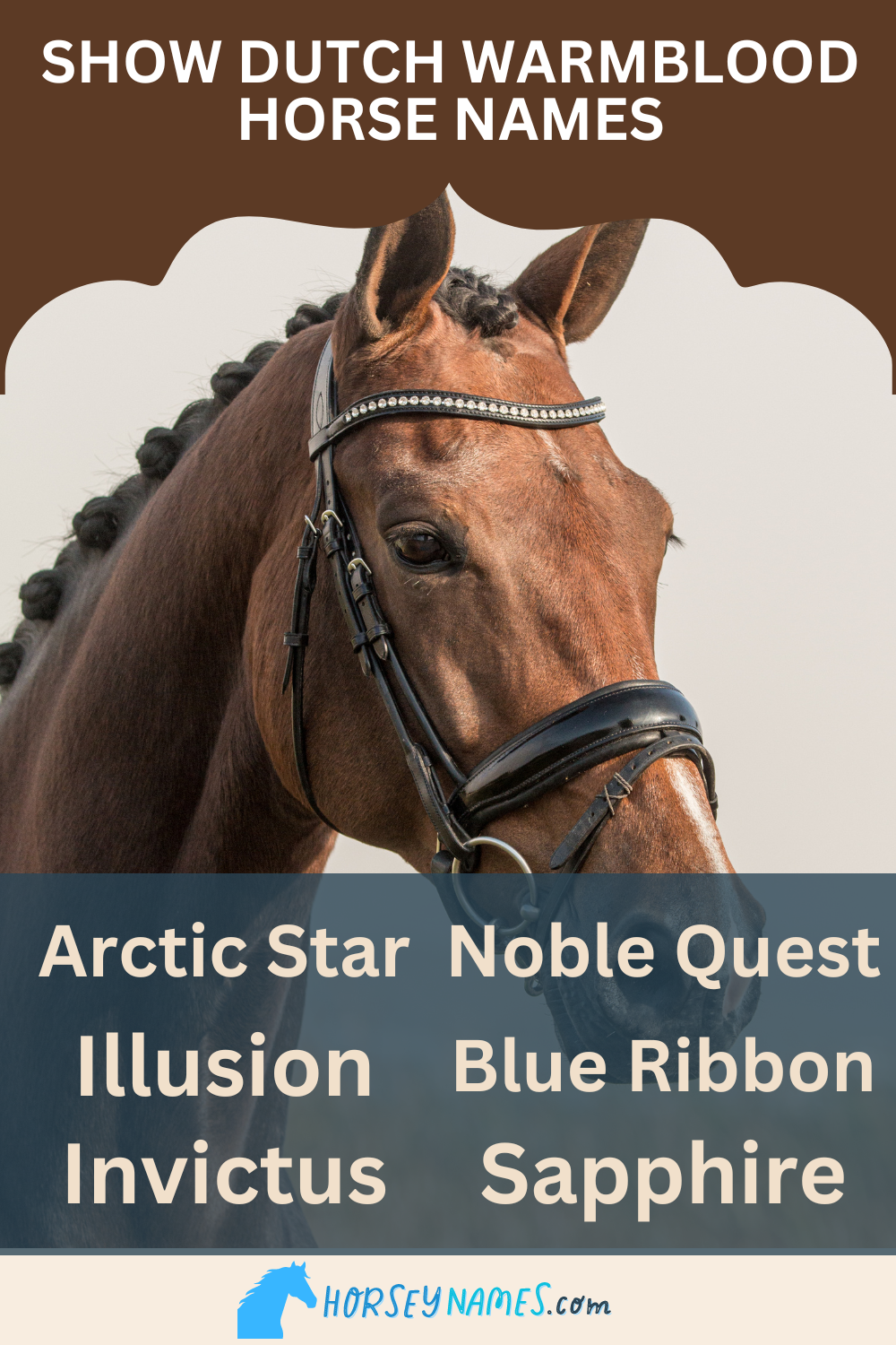 Show Dutch Warmblood Horse Names