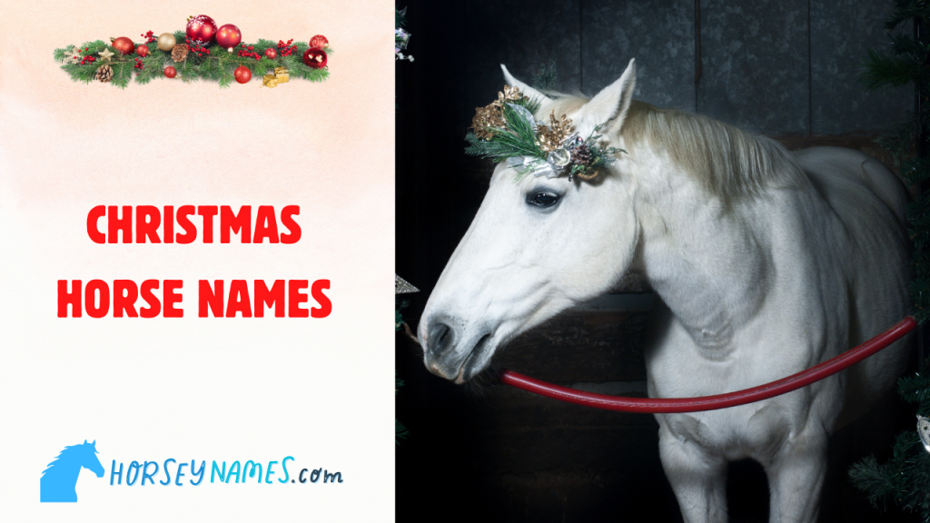 Christmas Horse Names