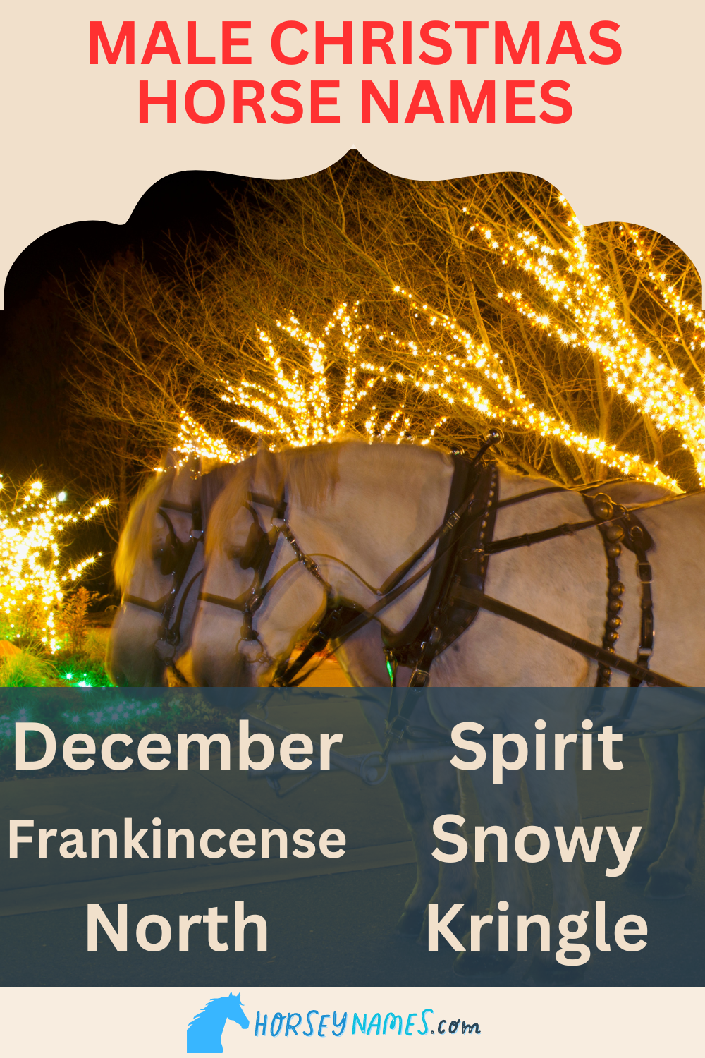 Male Christmas Horse Names