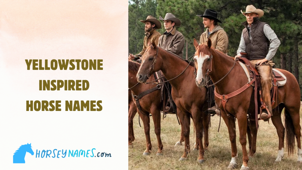 Yellowstone Horse Names